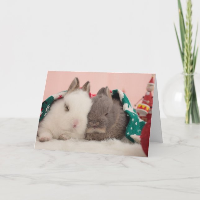 Tarjeta Festiva Mini conejos (Anverso)