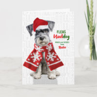 Miniature Schnauzer Divertido Pulgas Navidog con N