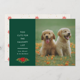 Tarjeta Festiva Minimal Cute Saying Pet Christmas Photo 