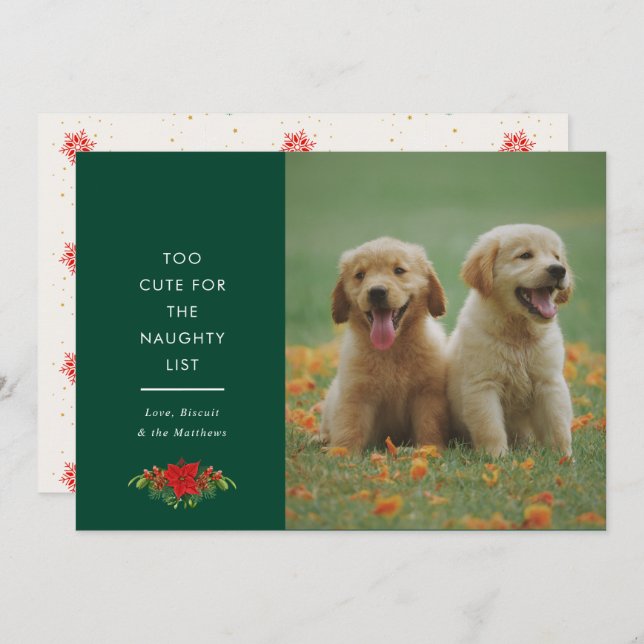 Tarjeta Festiva Minimal Cute Saying Pet Christmas Photo  (Anverso / Reverso)