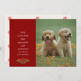 Tarjeta Festiva Minimal Cute Saying Pet Christmas Photo 