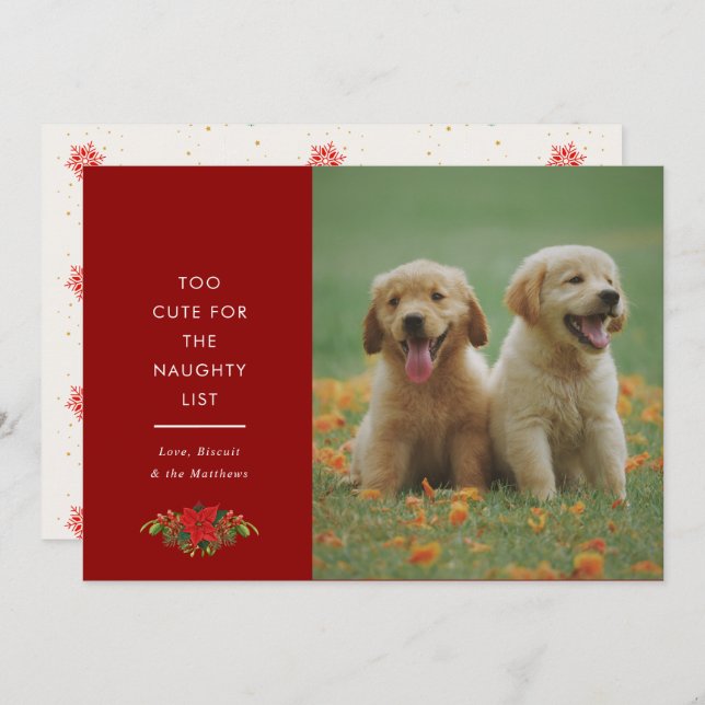 Tarjeta Festiva Minimal Cute Saying Pet Christmas Photo  (Anverso / Reverso)