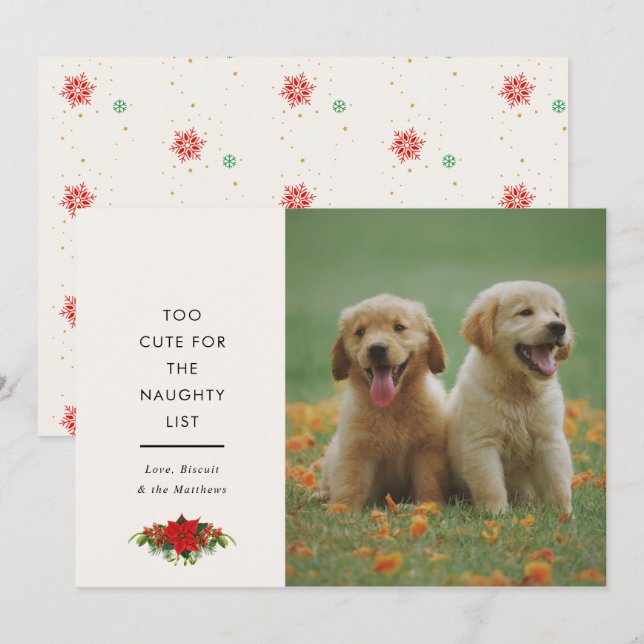 Tarjeta Festiva Minimal Cute Saying Pet Christmas Photo  (Anverso / Reverso)