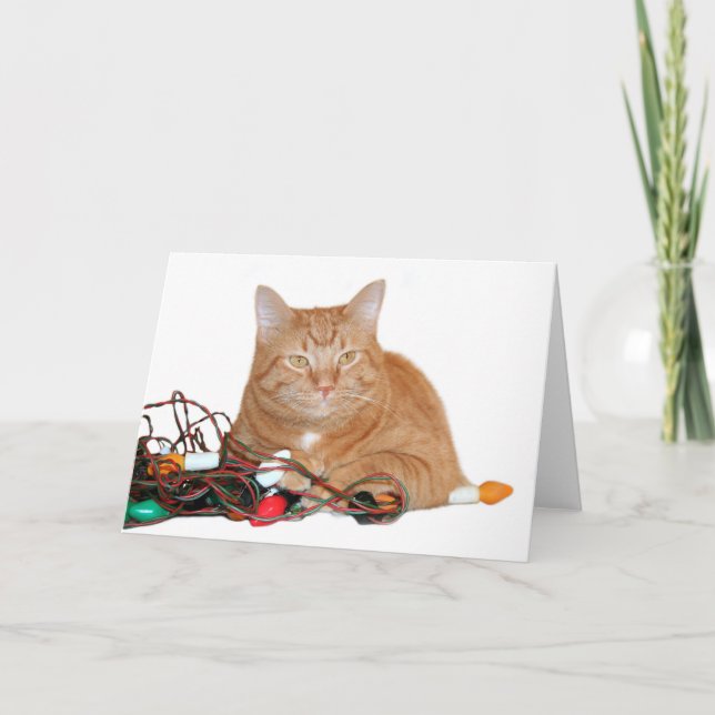 Tarjeta Festiva ¡Mío! (Anverso)