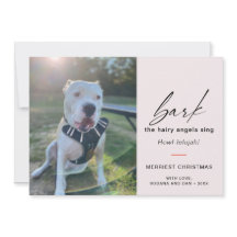 Modern Dog Bark The Hairy Angles Sing Foto