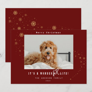 Tarjeta Festiva Modern Es Una Vida Maravillosamente Peluda Foto de