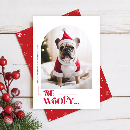 Tarjeta Festiva Modern Funny Dog Pet Arch Photo Christmas