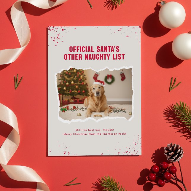 Tarjeta Festiva Modern Humor Funny Dog Photo Christmas (Subido por el creador)
