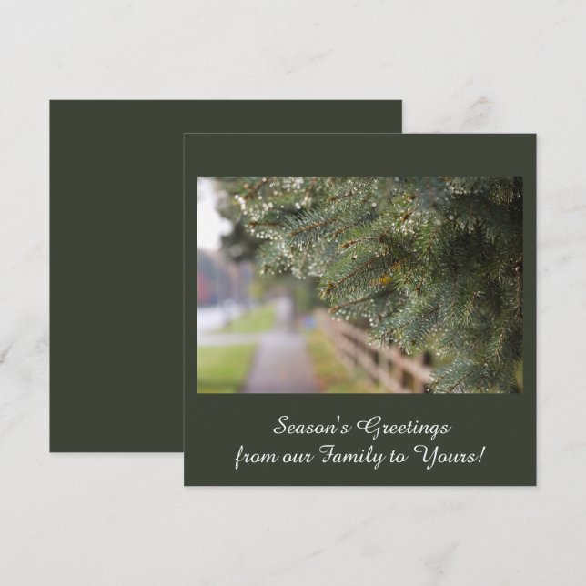 Tarjeta Festiva Moderna, elegante y brillante Agujas Evergreen Ver (Anverso / Reverso)