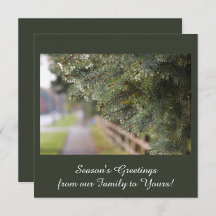 Tarjeta Festiva Moderna, elegante y brillante Agujas Evergreen Ver