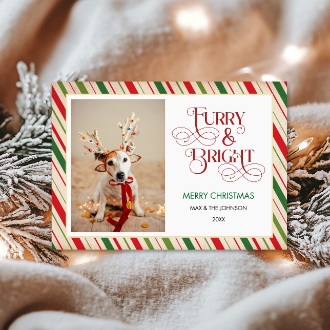 Tarjeta Festiva Modernos Navidades divertidos, la foto de perro br (Subido por el creador)