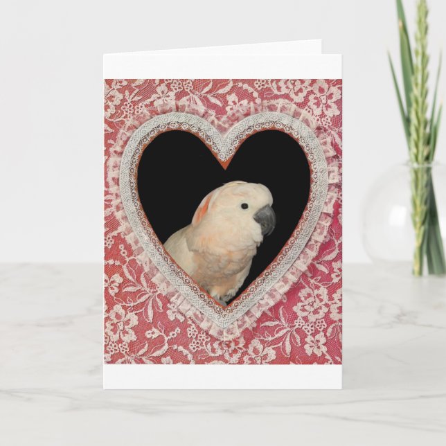 Tarjeta Festiva Moluccan Cockatoo Love Valentine Design (Anverso)