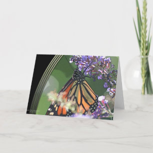 TARJETA FESTIVA MONARCA VISION