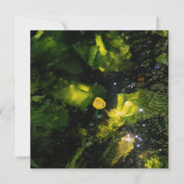 Tarjeta Festiva Moody Yellow Water Lily in sparkling light