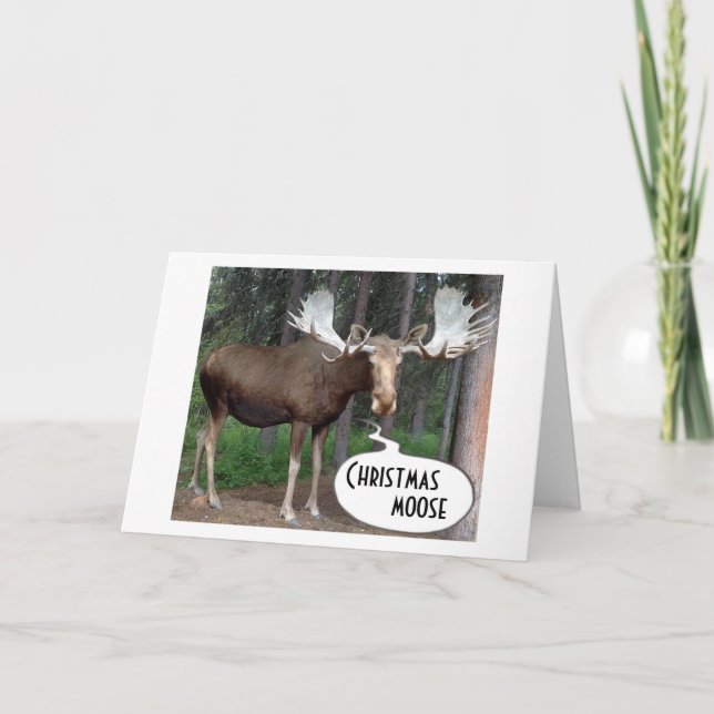 TARJETA FESTIVA MOOSE SHINED SUS ANTELEROS PARA SUS NAVIDADES (Anverso)