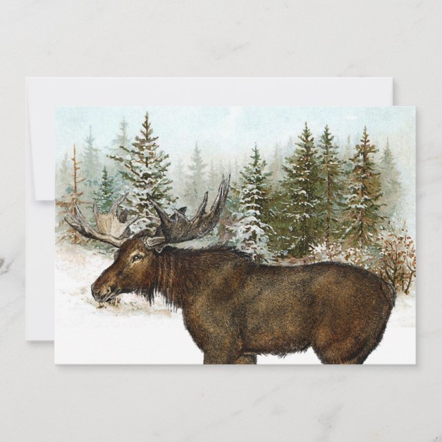 Tarjeta Festiva Moose Snowy Forest Nature vacaciones de invierno (Anverso)