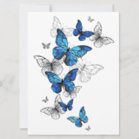 Morfo de las mariposas voladoras azules