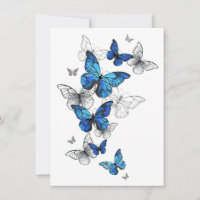 Morfo de las mariposas voladoras azules