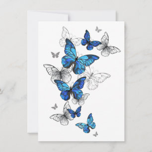 Tarjeta Festiva Morfo de las mariposas voladoras azules