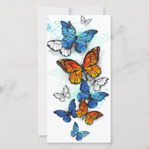 Tarjeta Festiva Morfo y monarca de las mariposas voladoras