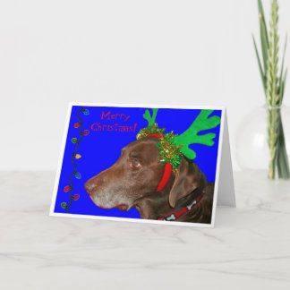 Tarjeta Festiva ¡Moxie 20103, Felices Navidad!