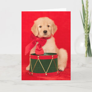 Tarjeta Festiva Muchacho del batería del perrito del golden