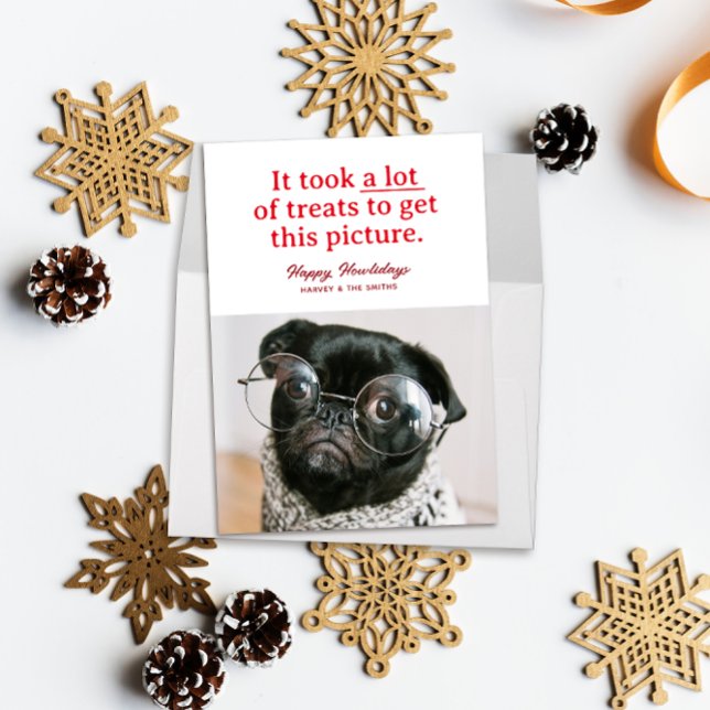 Tarjeta Festiva Muchos tratamientos Feliz Mascota Funny de Howlida (Funny pet photo holiday card red text reads "it took a lot of treats to get this picture")