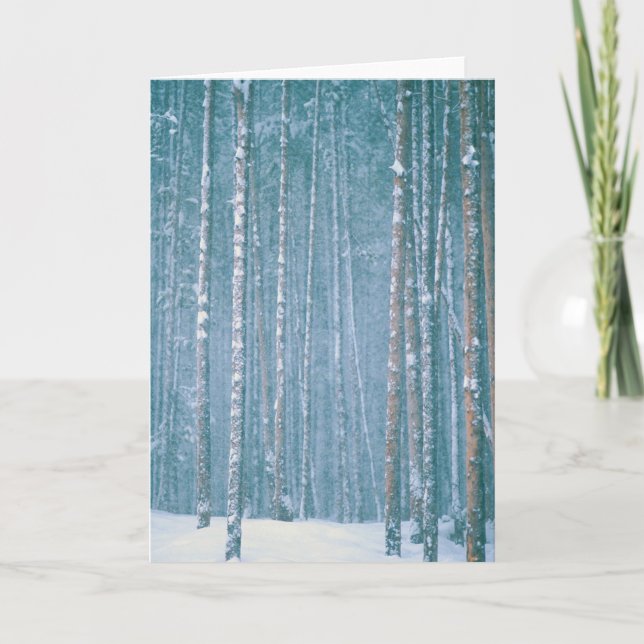 Tarjeta Festiva NA, EE.UU., POR QUÉ. Escena de invierno nevada ent (Anverso)