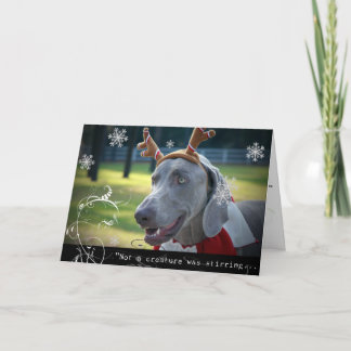 Tarjeta Festiva Nación de Weimaraner: "No una criatura revolvía. "