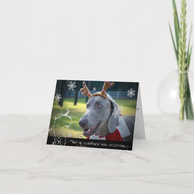 Tarjeta Festiva Nación de Weimaraner: "No una criatura revolvía… (Anverso)