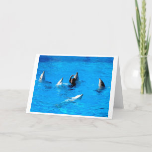 Tarjeta Festiva Nadar con cinco delfines en España