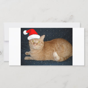 Tarjeta Festiva Naranja de navidades Tabby Cat