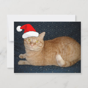 Tarjeta Festiva Naranja de navidades Tabby Cat