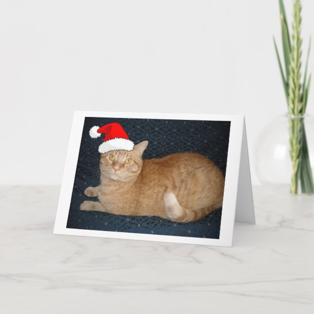 Tarjeta Festiva Naranja de navidades Tabby Cat (Anverso)