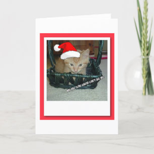 Tarjeta Festiva Naranja de navidades Tabby Kitten