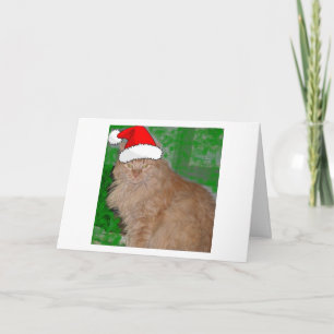 Tarjeta Festiva Naranja de navidades Tabby Kitty Cat