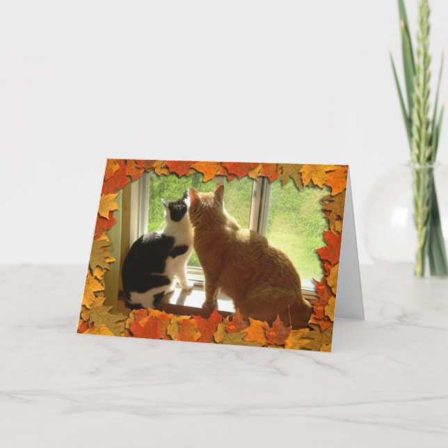 Tarjeta Festiva Naranja de otoño Tabby Cats (Anverso)
