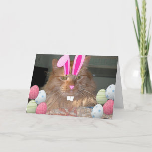 Tarjeta Festiva Naranja de Pascua Tabby Gato Kitty