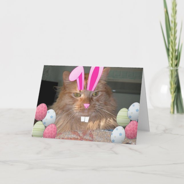 Tarjeta Festiva Naranja de Pascua Tabby Gato Kitty (Anverso)