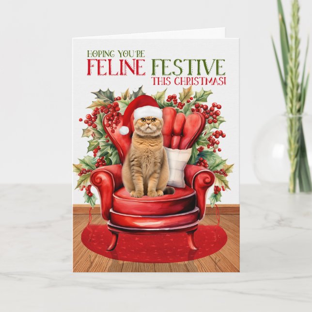 Tarjeta Festiva Naranja Escocia Navidades de Plegar FELINE Festivi (Anverso)