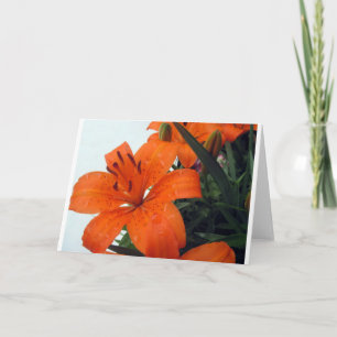 Tarjeta Festiva Naranja LIly