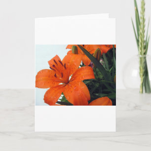Tarjeta Festiva Naranja LIly