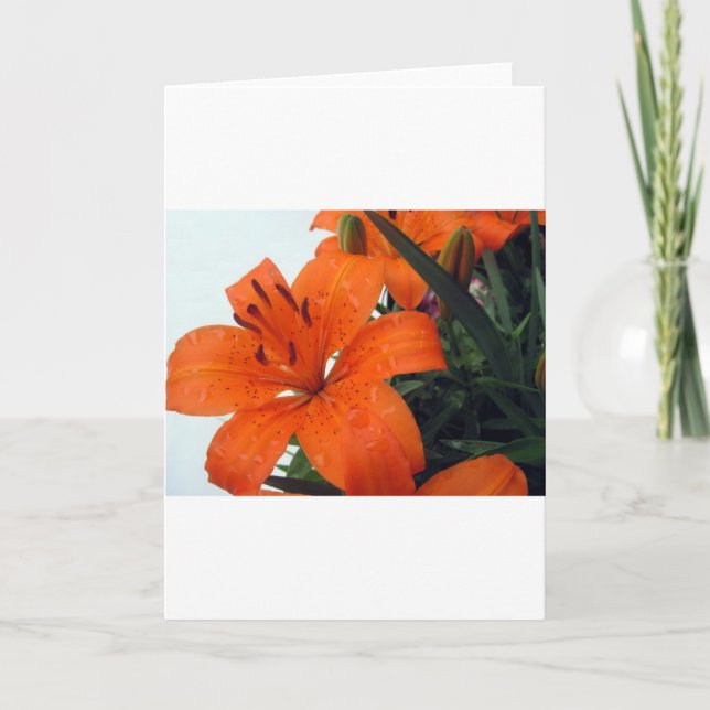 Tarjeta Festiva Naranja LIly (Anverso)