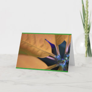 Tarjeta Festiva Naranja poinsettia con texto en español