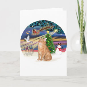 Tarjeta Festiva Naranja Tabby Cat - Navidades Magic