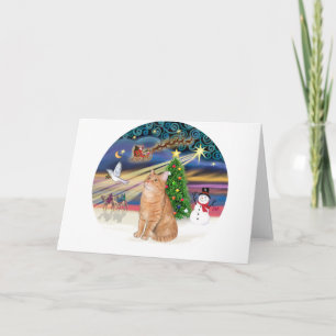 Tarjeta Festiva Naranja Tabby Cat - Navidades Magic
