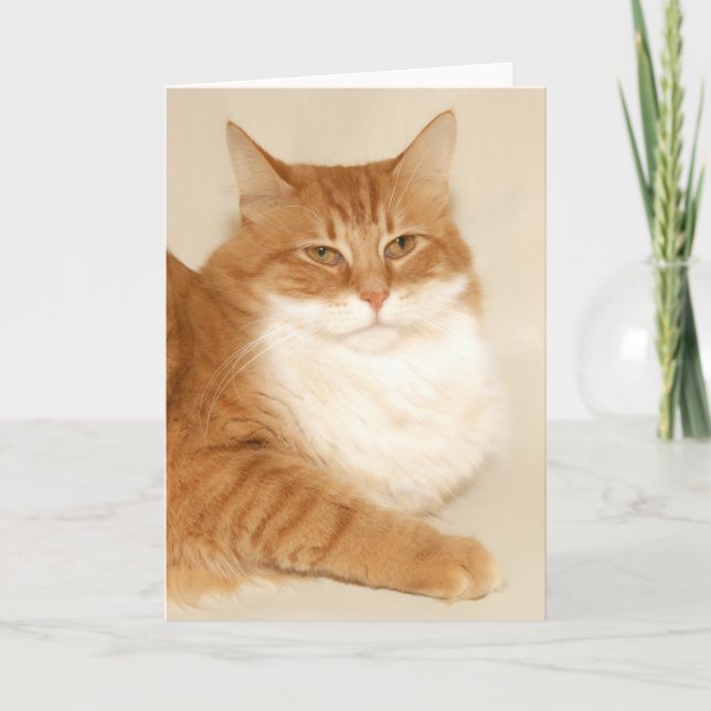 Tarjeta Festiva Naranja tabby Santa (Anverso)