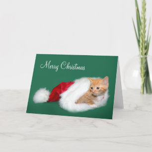 Tarjeta Festiva Naranja tabby Santa hat