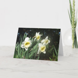 Tarjeta Festiva Narcisos
