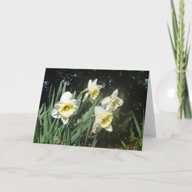 Tarjeta Festiva Narcisos (Anverso)